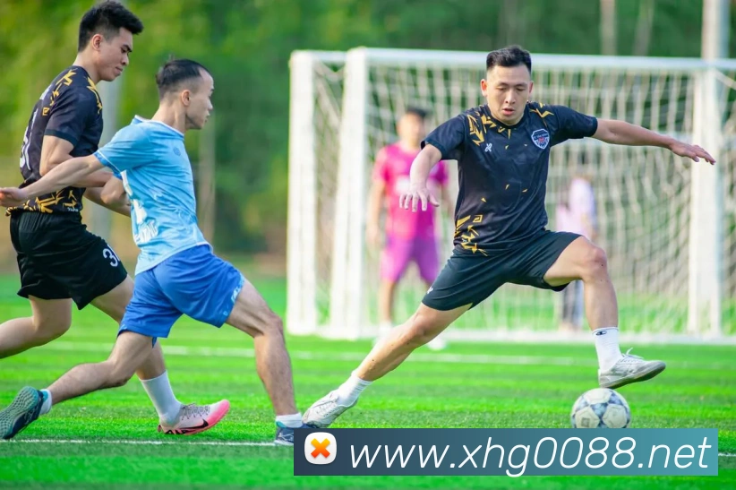 新濠天地平台全站App